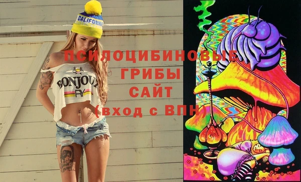 бошки Кодинск
