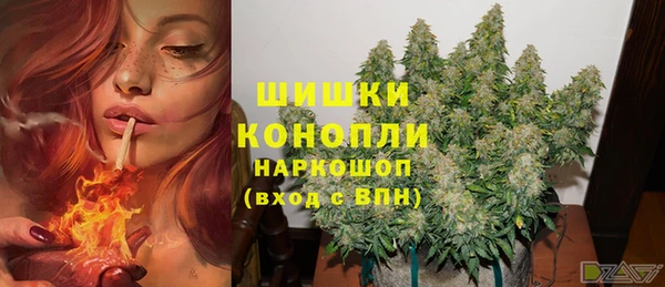 винт Козловка