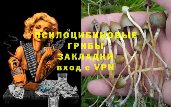 бошки Кодинск